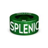 SPLENIC ANEURYSM NOTCH Charm