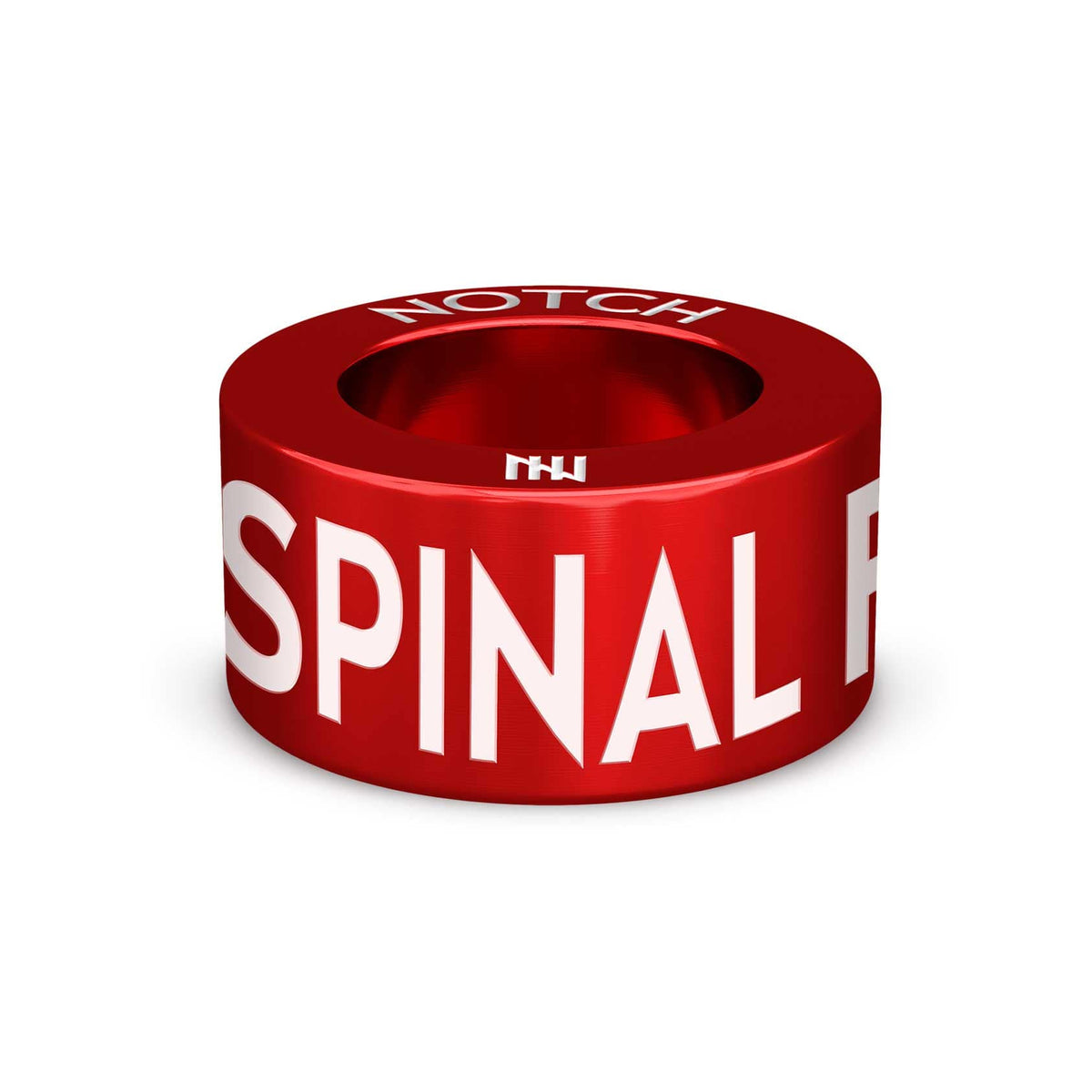 Spinal Facet Degeneration NOTCH Charm – NOTCH®