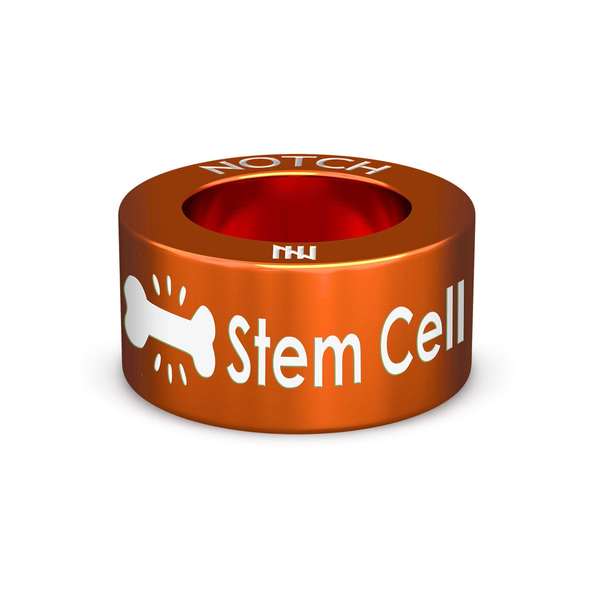 Stem Cell Transplant Touchstone NOTCH