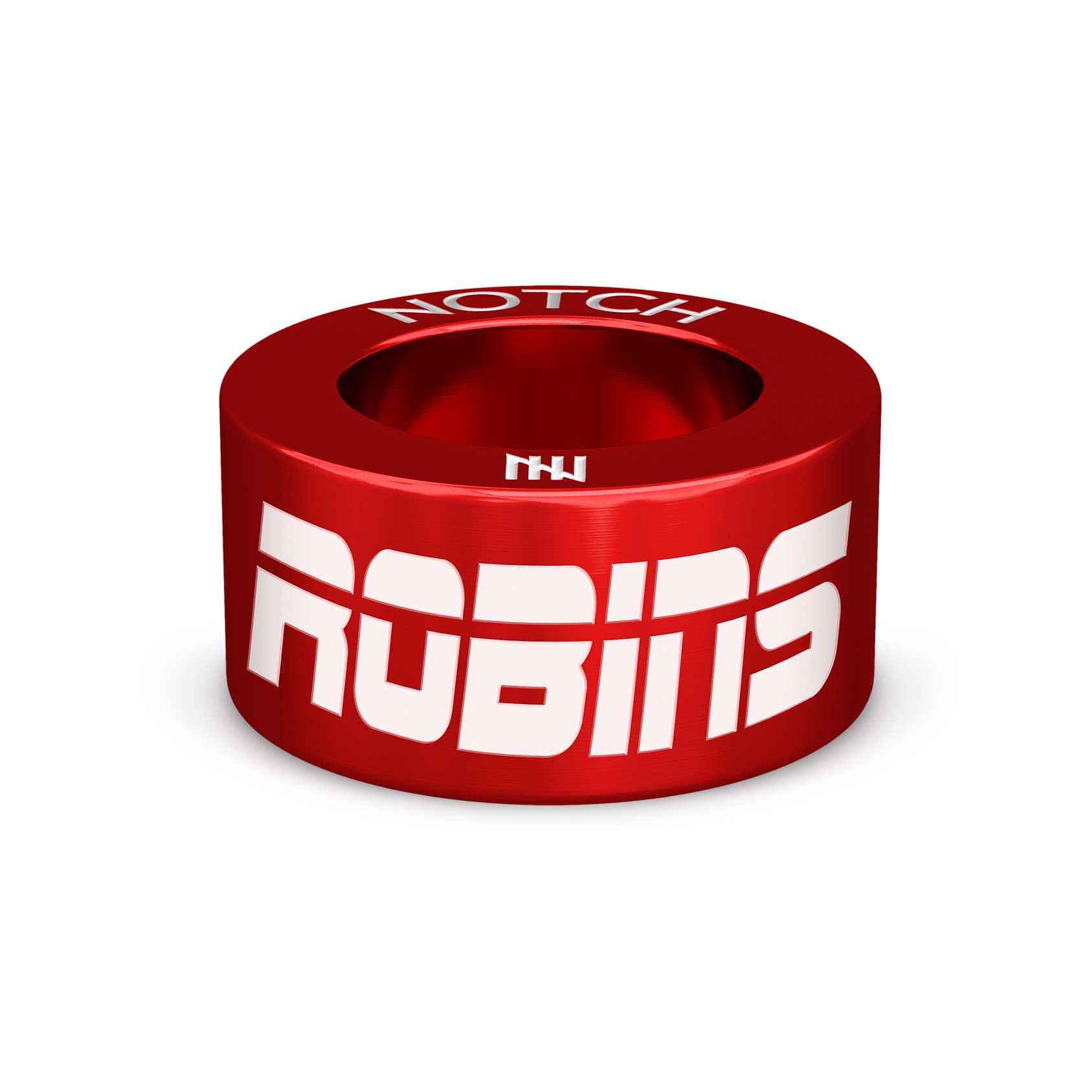 THE ROBINS NOTCH Charm