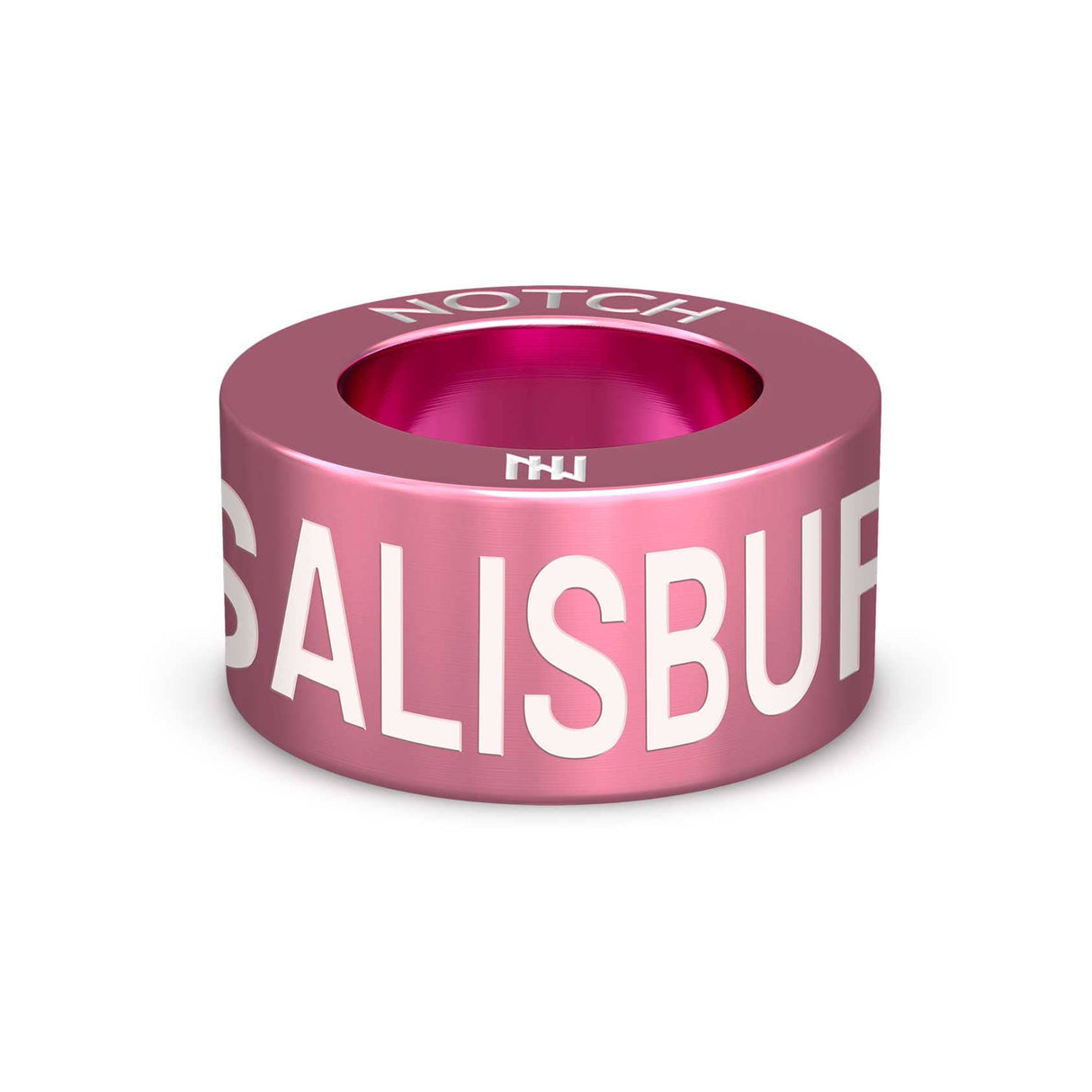 TWR Salisbury NOTCH Charm