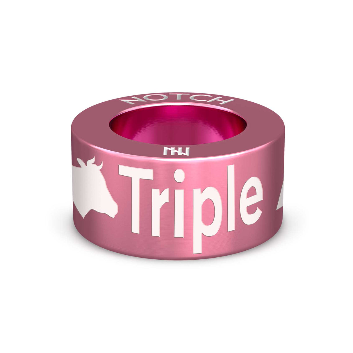 Triple Alphabeteer NOTCH Charm