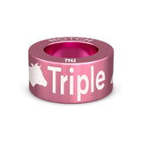 Triple Alphabeteer NOTCH Charm