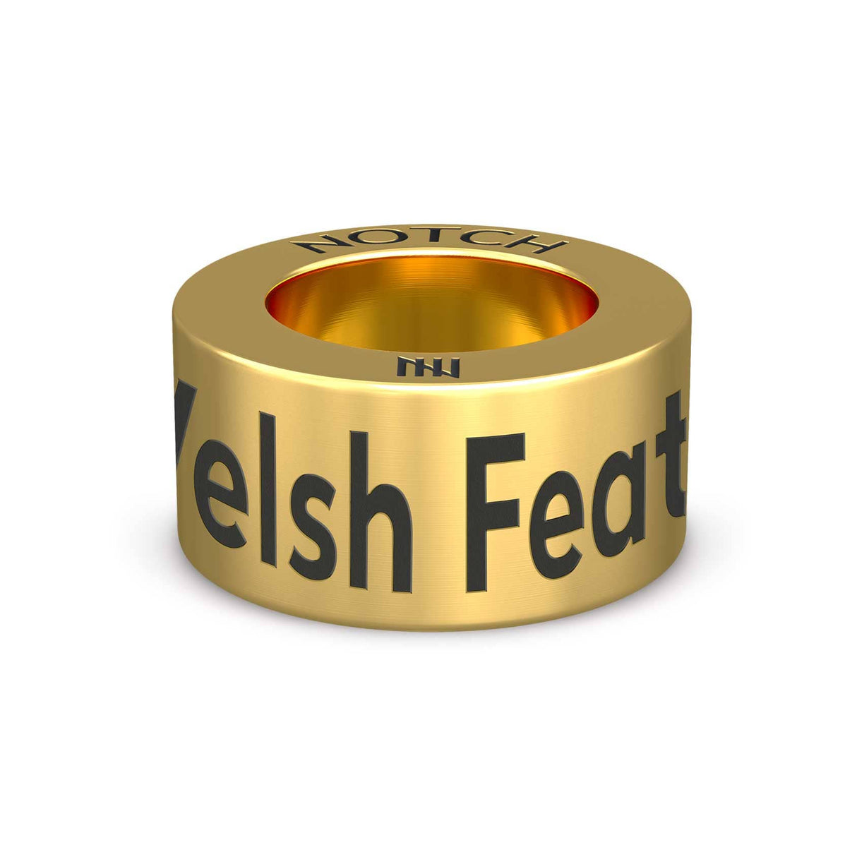 Welsh Feathers NOTCH Charm