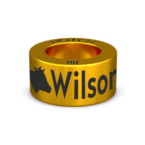 Wilson Index 100 NOTCH Charm