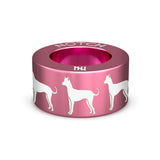 Xoloitzcuintle (Mex Hairless) Int NOTCH Charm