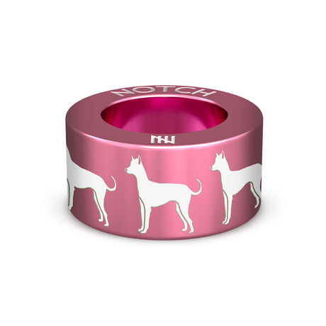 Xoloitzcuintle (Mex Hairless) Int NOTCH Charm