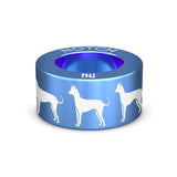 Xoloitzcuintle (Mex Hairless) Int NOTCH Charm