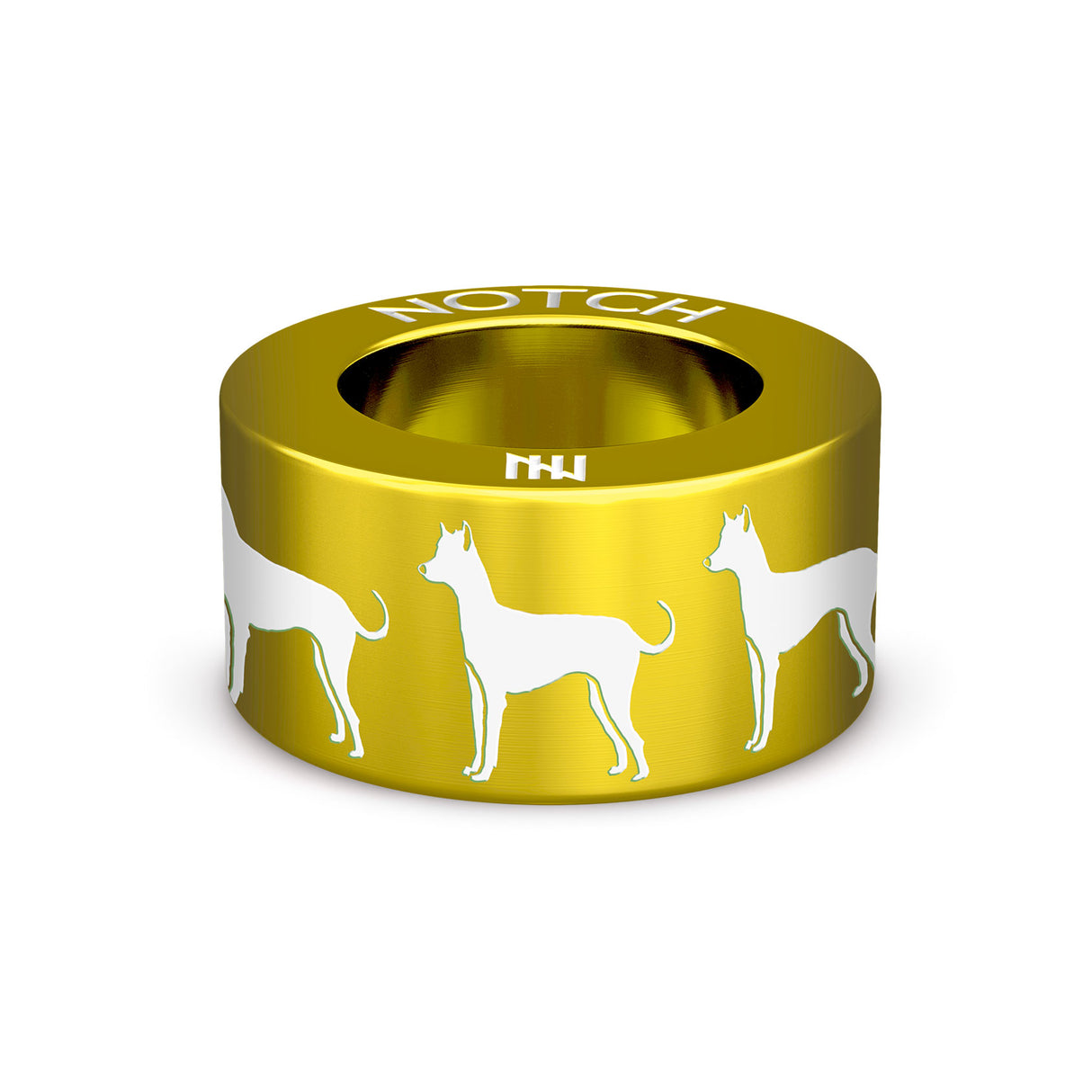 Xoloitzcuintle (Mex Hairless) Int NOTCH Charm