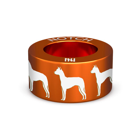 Xoloitzcuintle (Mex Hairless) Std NOTCH Charm
