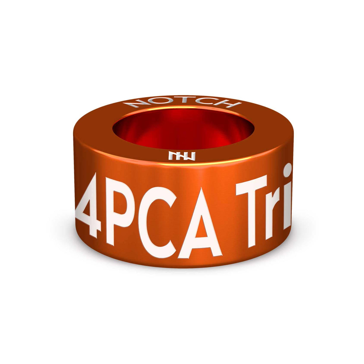 4-Paws Canine Academy Tricks NOTCH Charm