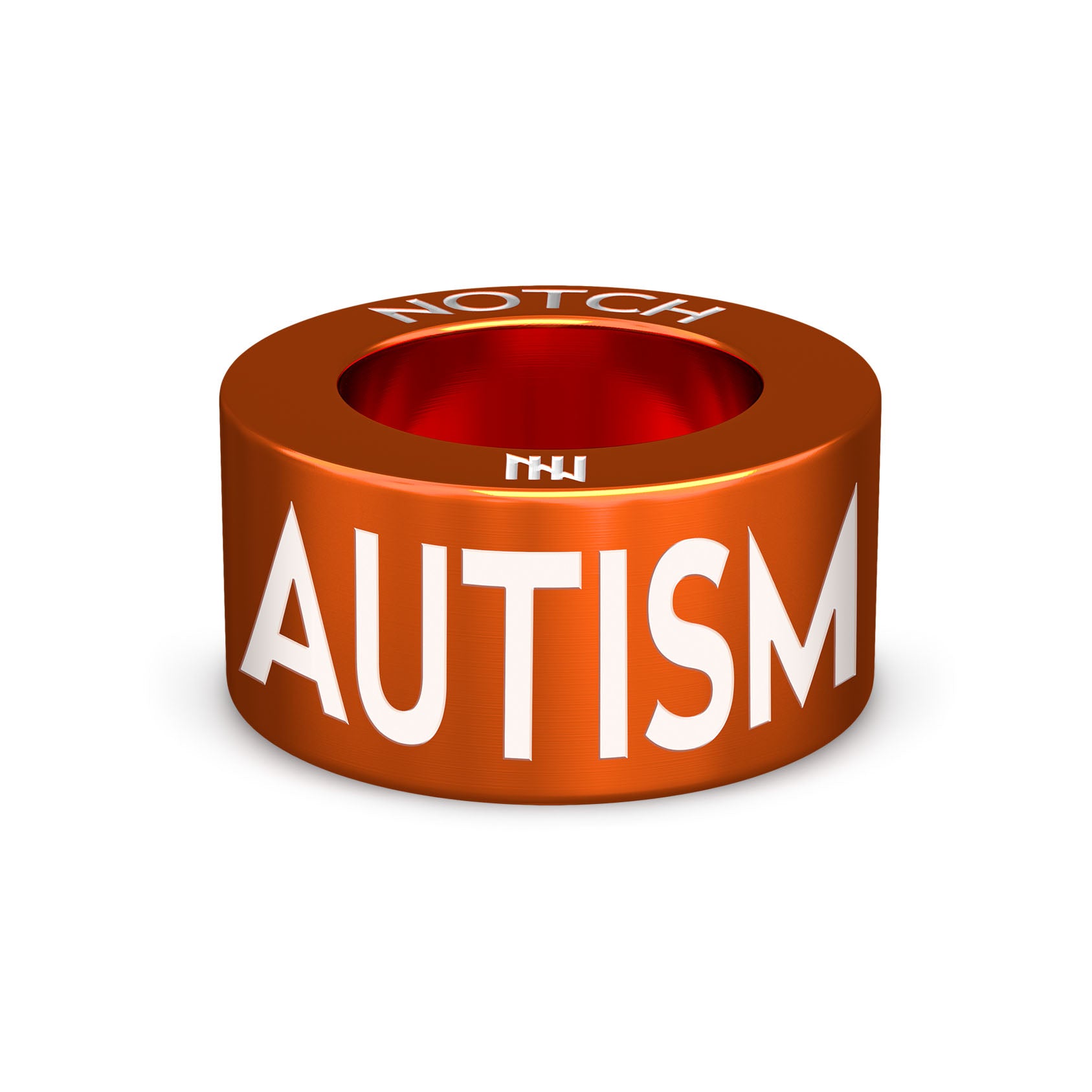 Autism NOTCH Charm (Full List)