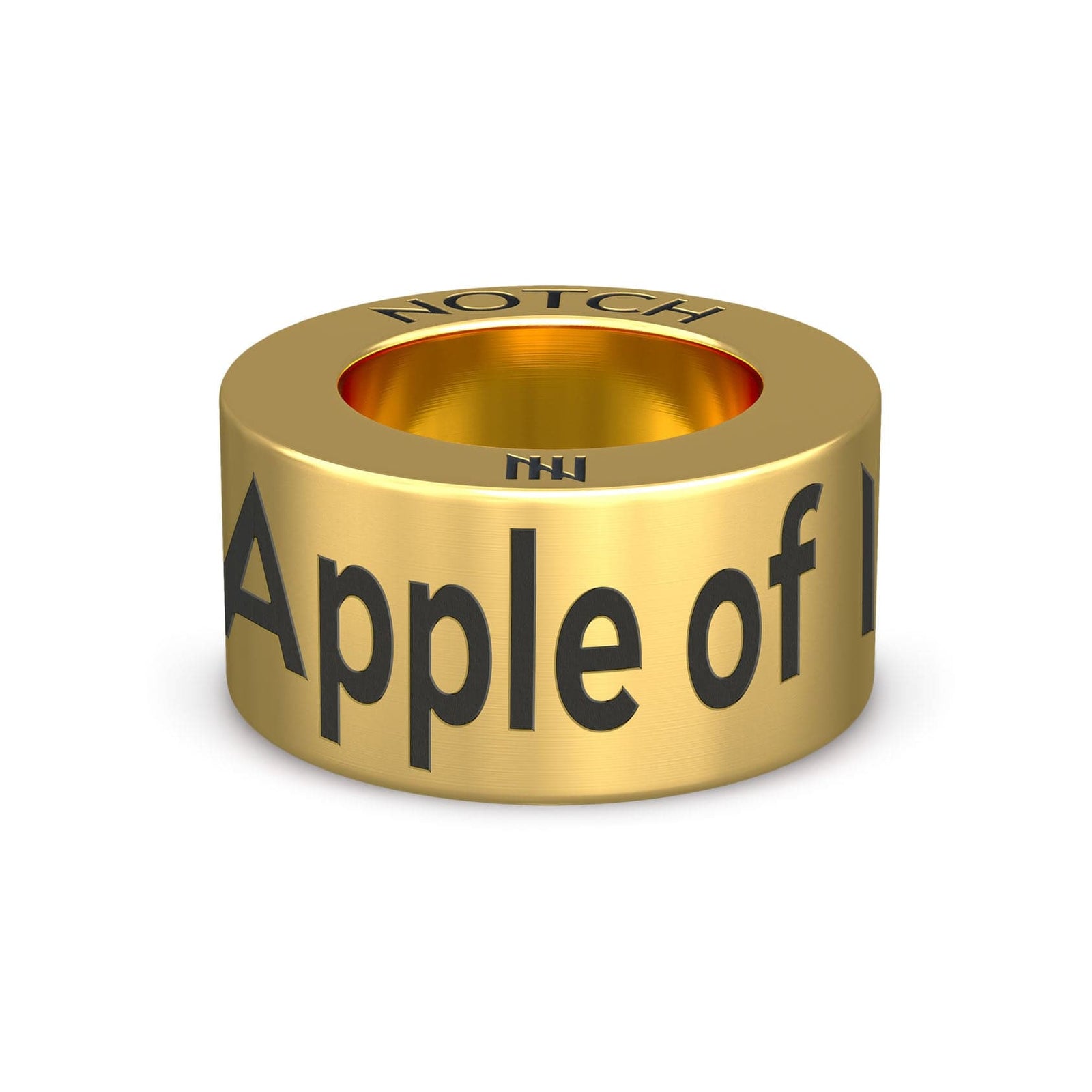 Apple of my eye NOTCH Charm