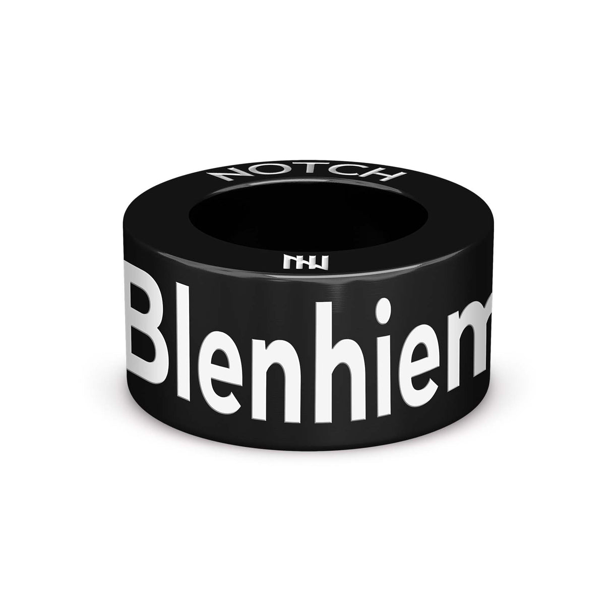 BLENHEIM PALACE TRIATHLON NOTCH Charm