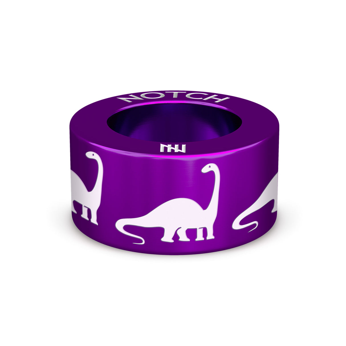 Brontosaurus NOTCH Charm