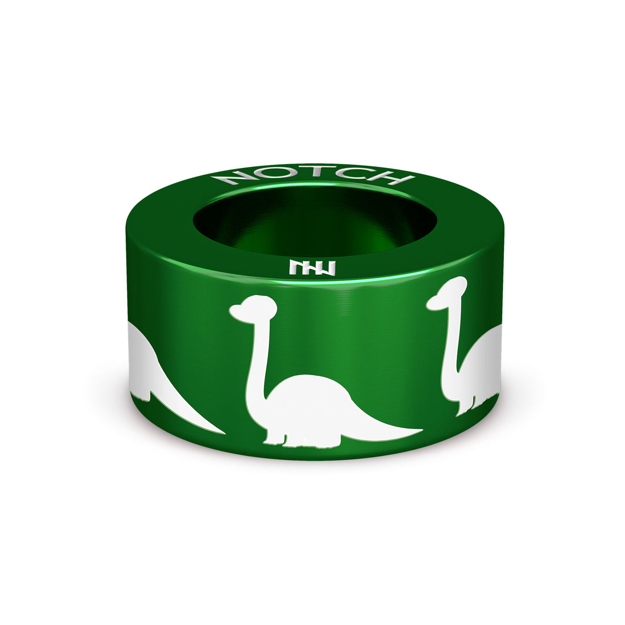 Diplodocus NOTCH Charm
