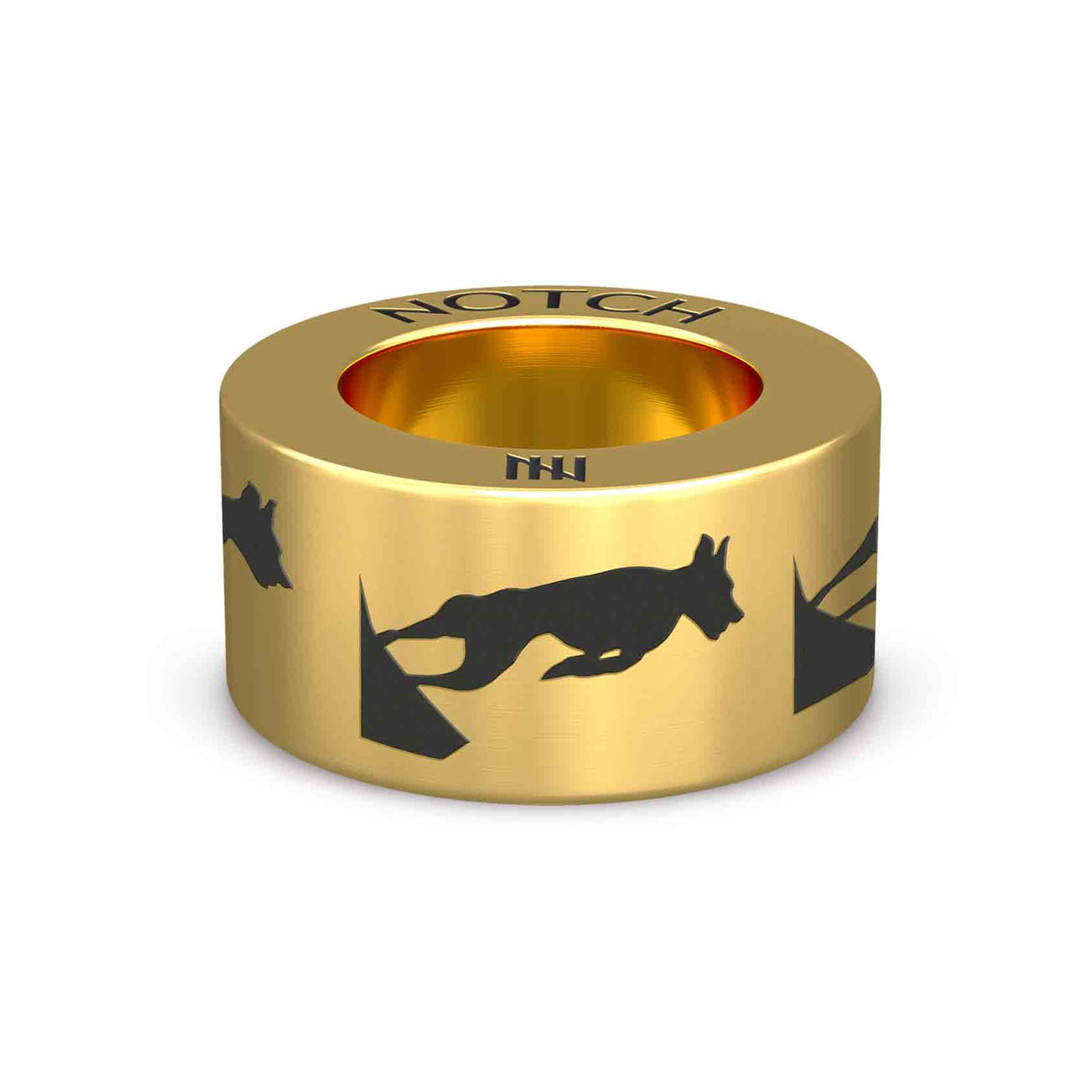 Dog Flyball Turn NOTCH Charm