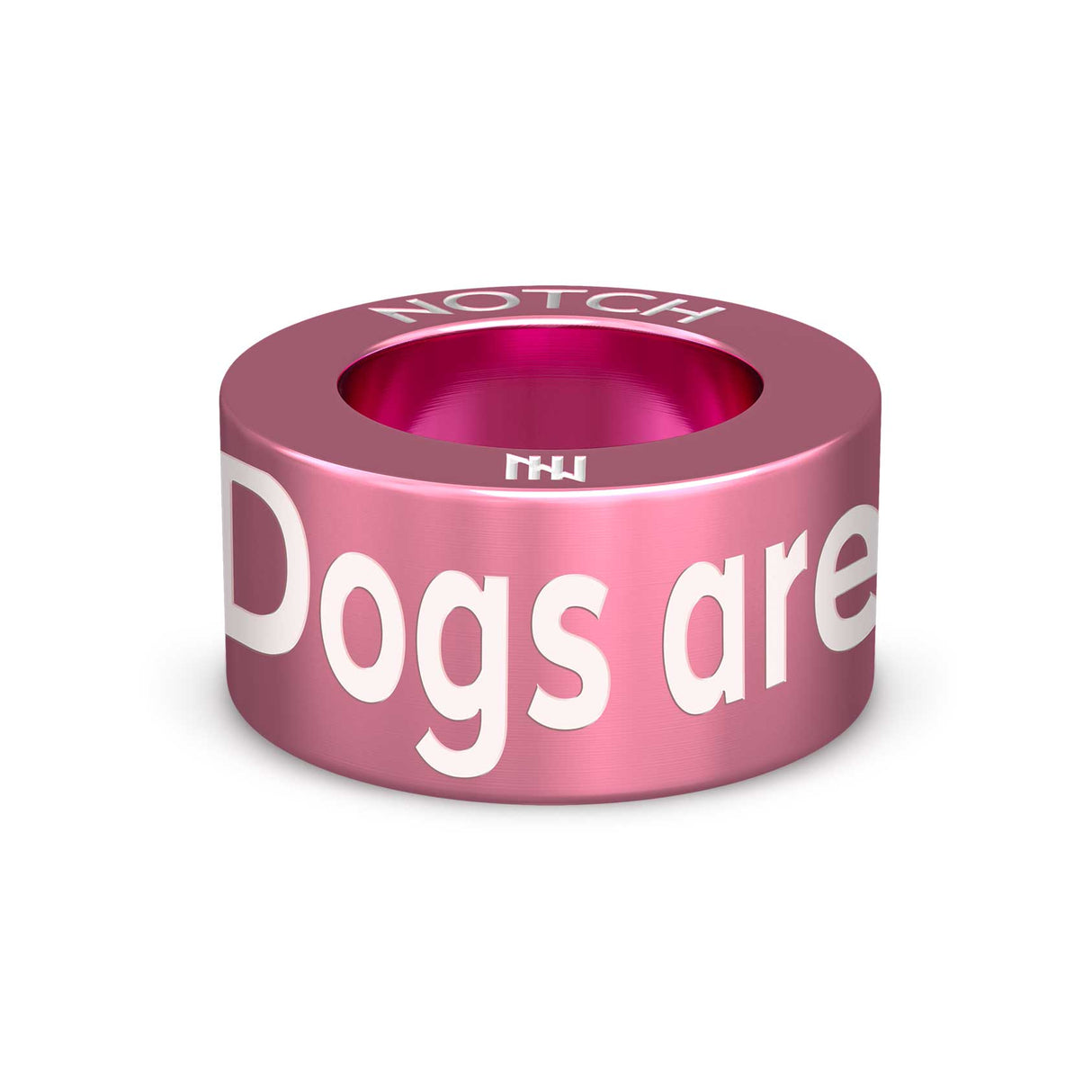 Dogs are a work of heart Notch Charm