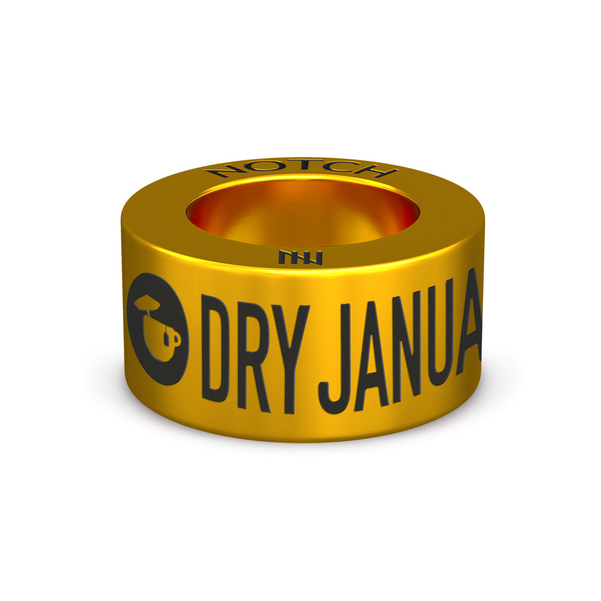 The Dry January® Challenge NOTCH Charm (Gold)