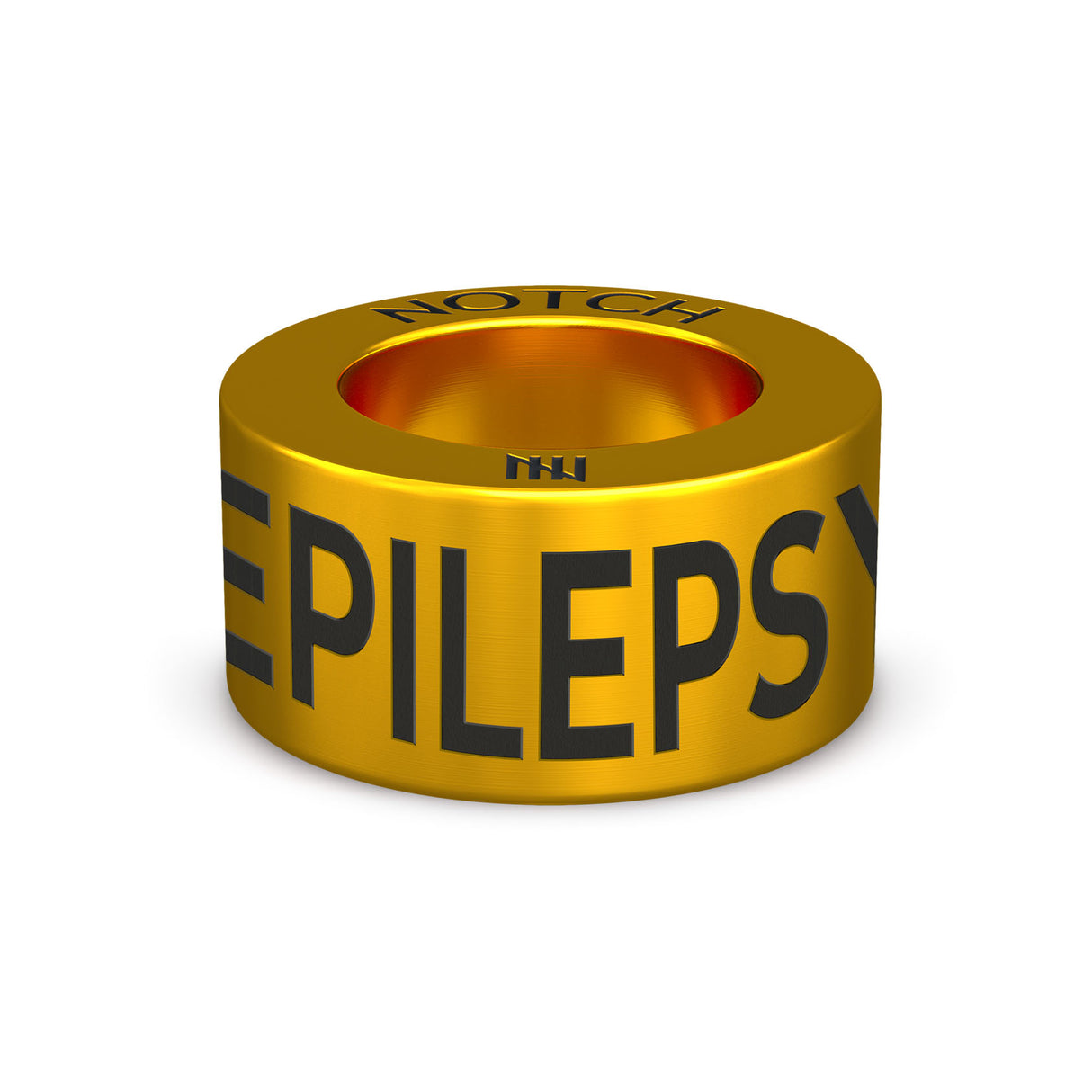Epilepsy Medical ID NOTCH Charm (Full List)