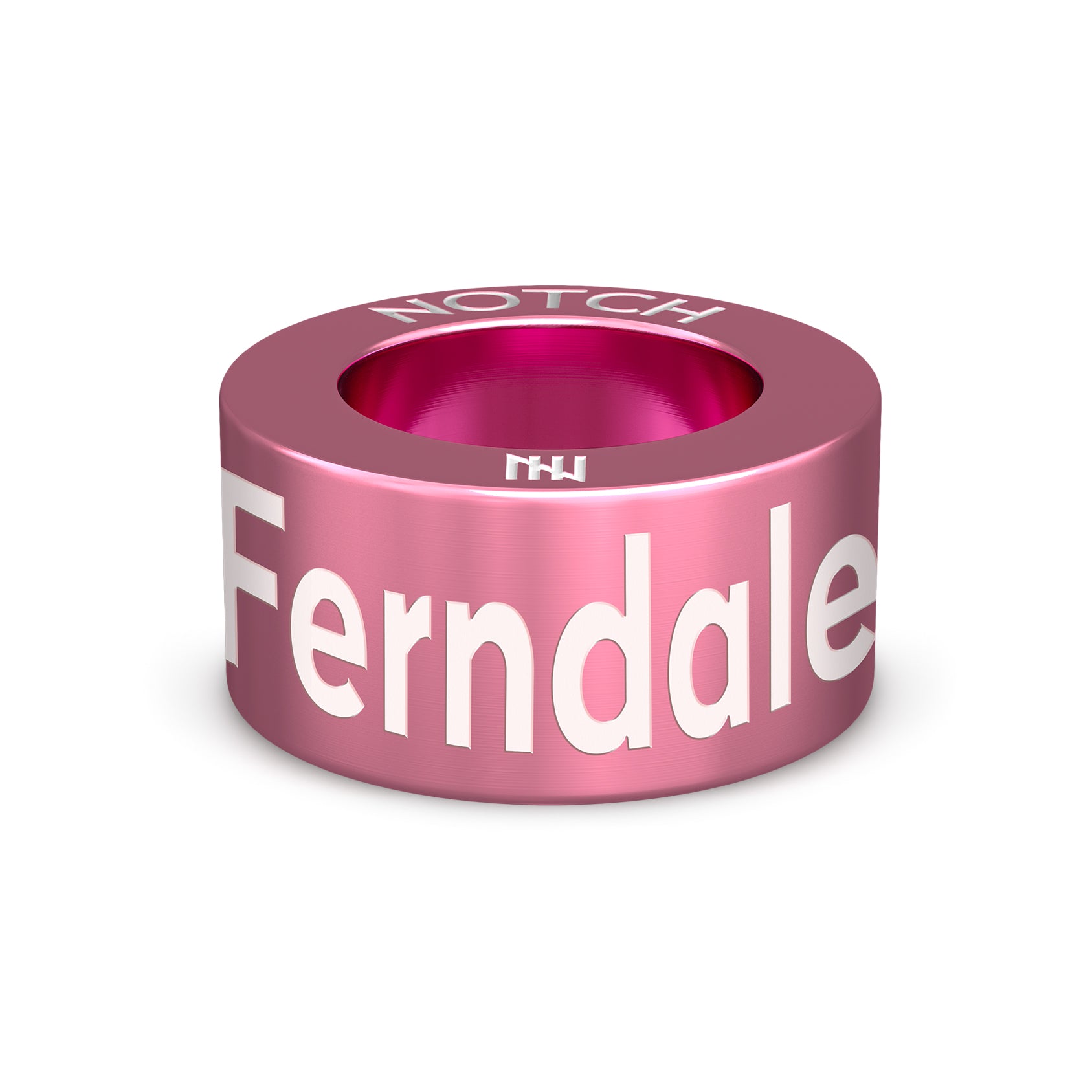 Ferndale Pride NOTCH Charm