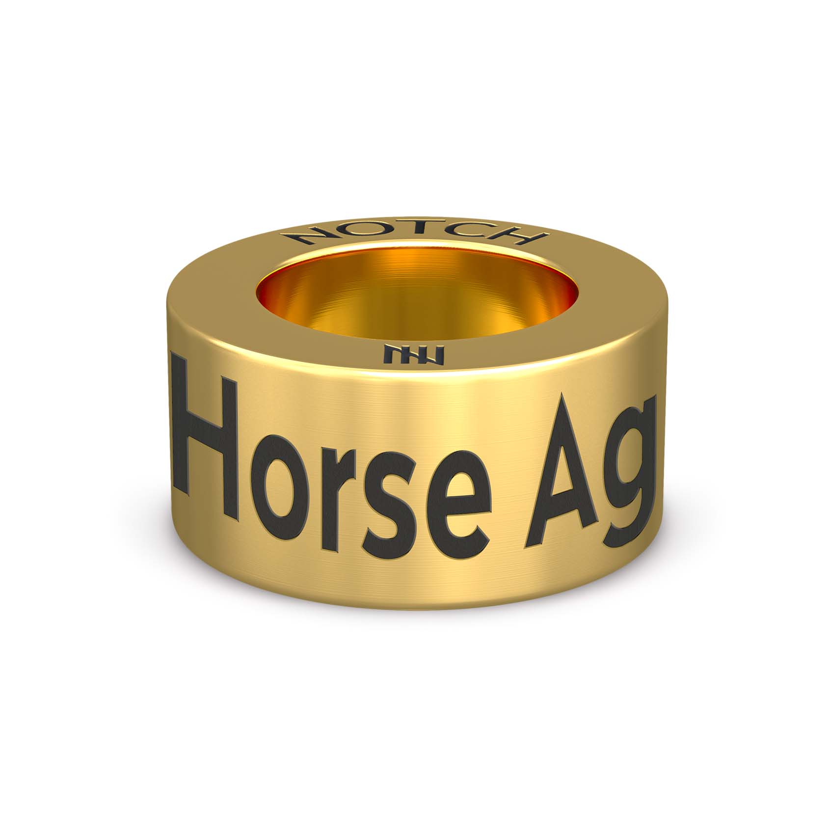 Horse Agility Celebration NOTCH Charm (Full List)