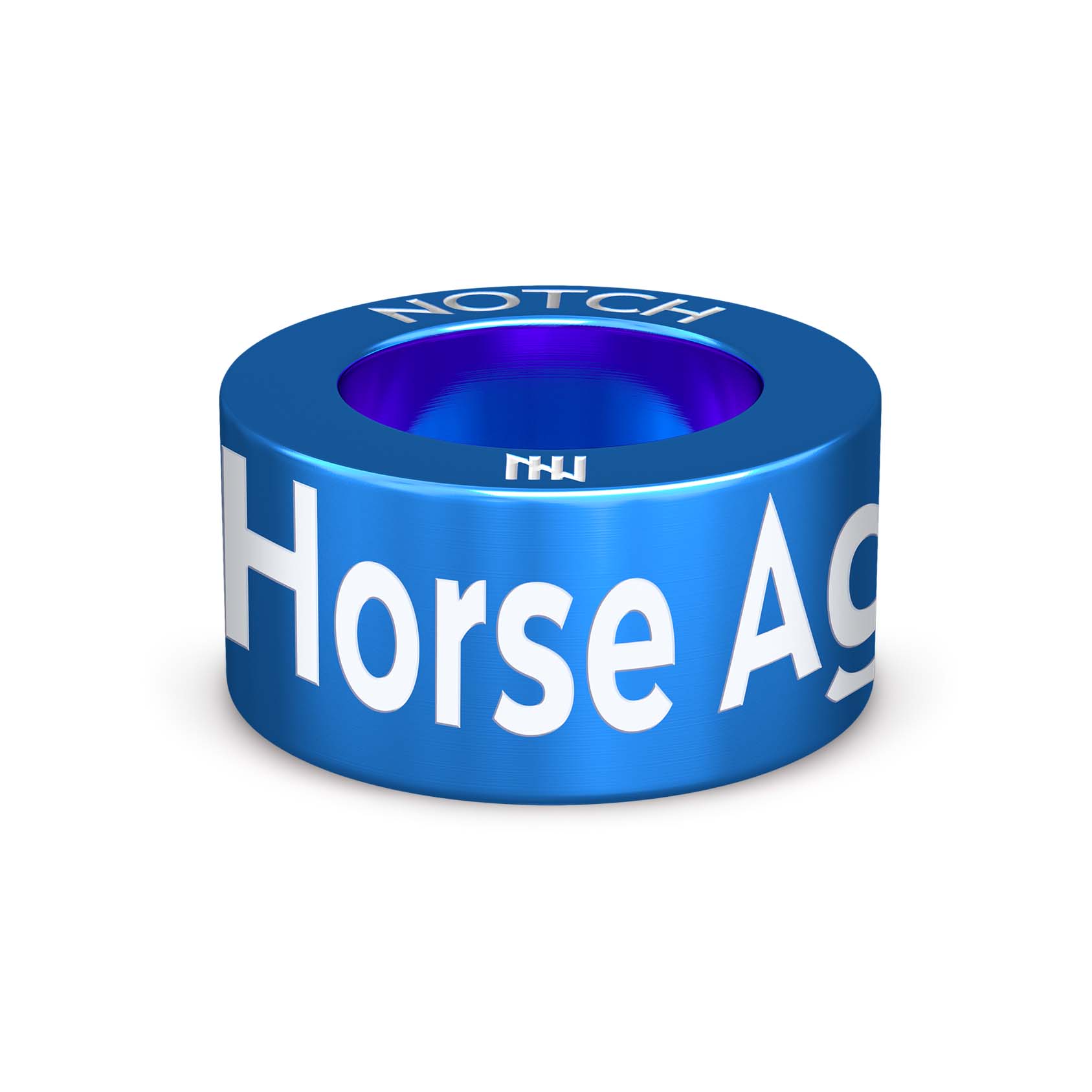 Horse Agility Positive Affirmation NOTCH Charm (Full List)