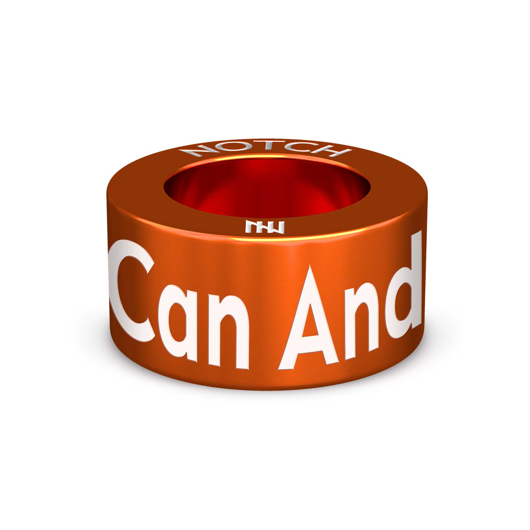 I Can And I Will by Cobbs