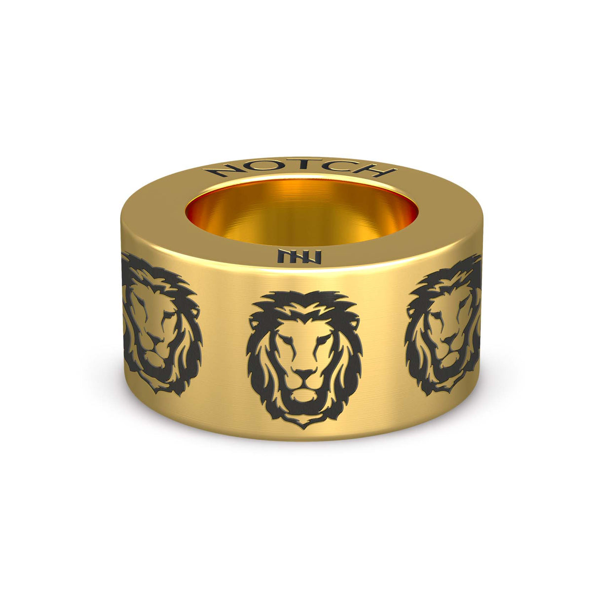 Lions NOTCH Charm