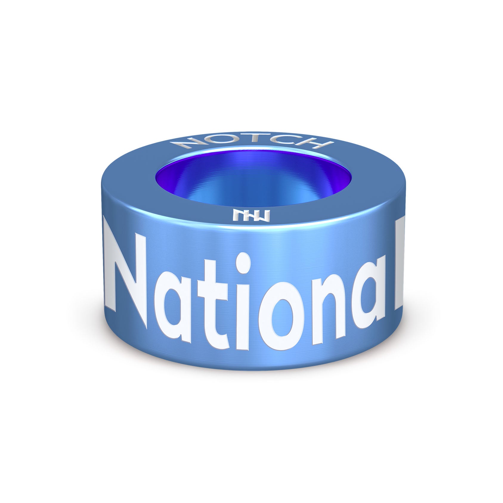 National Autistic Society NOTCH Charm