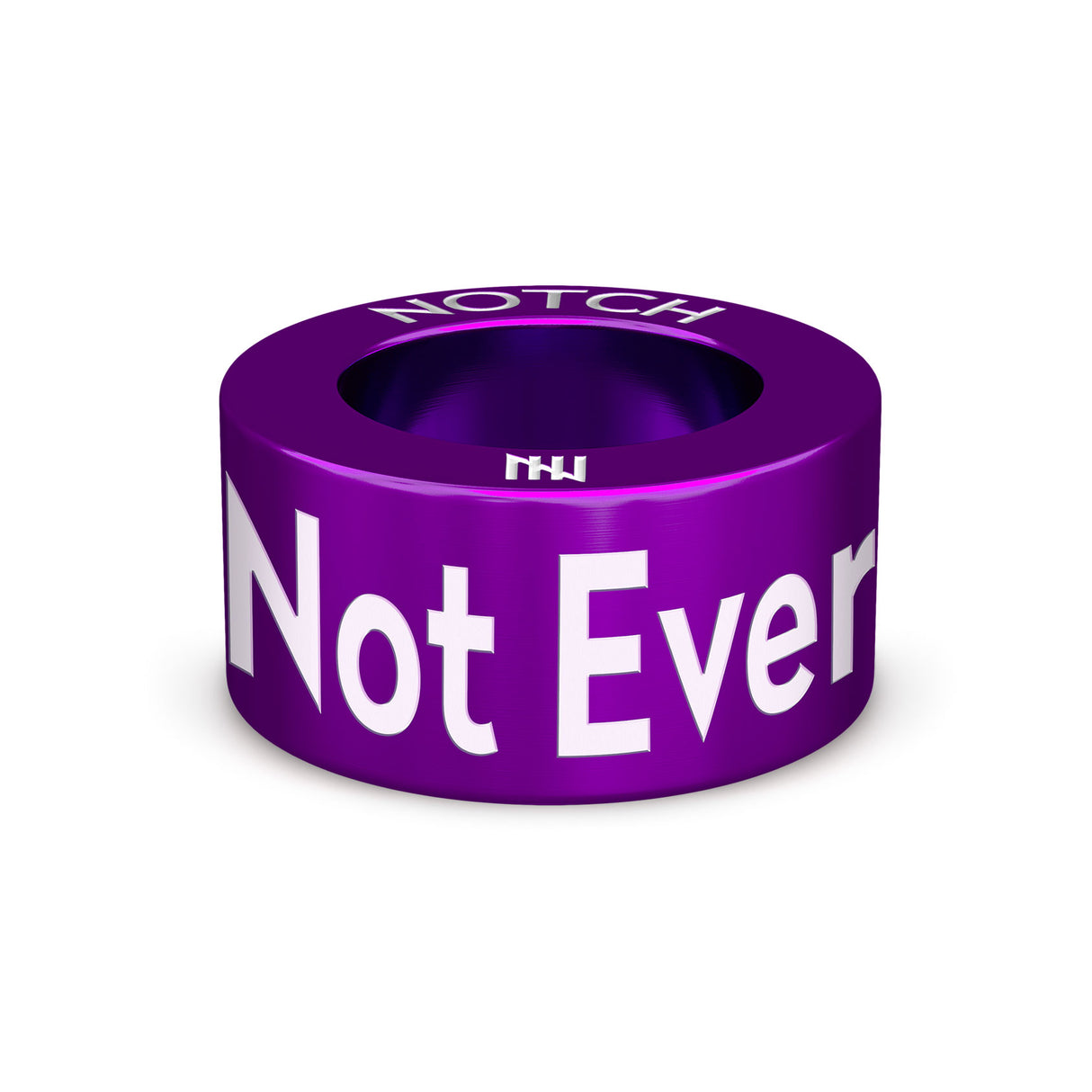 Not Every Disability is Visible NOTCH Charm