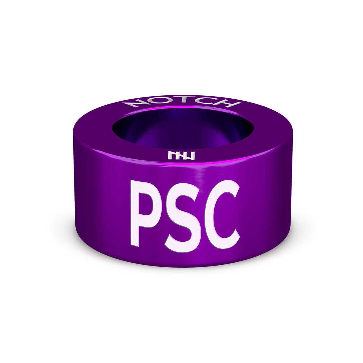 Primary Sclerosing Cholangitis NOTCH Charm