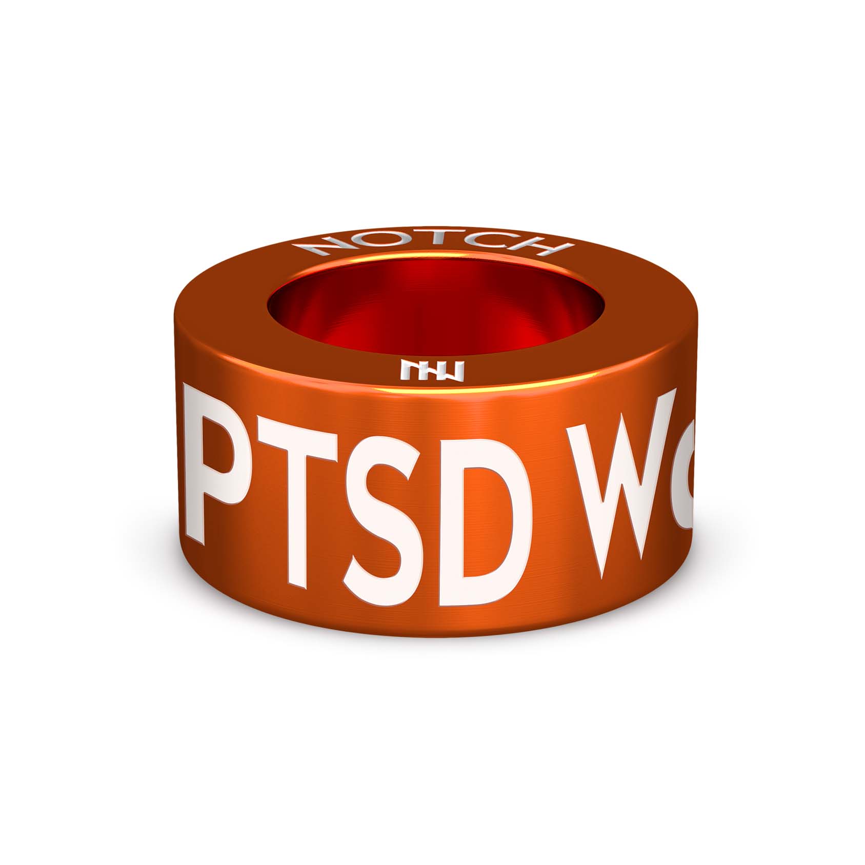 PTSD Warrior NOTCH Charm