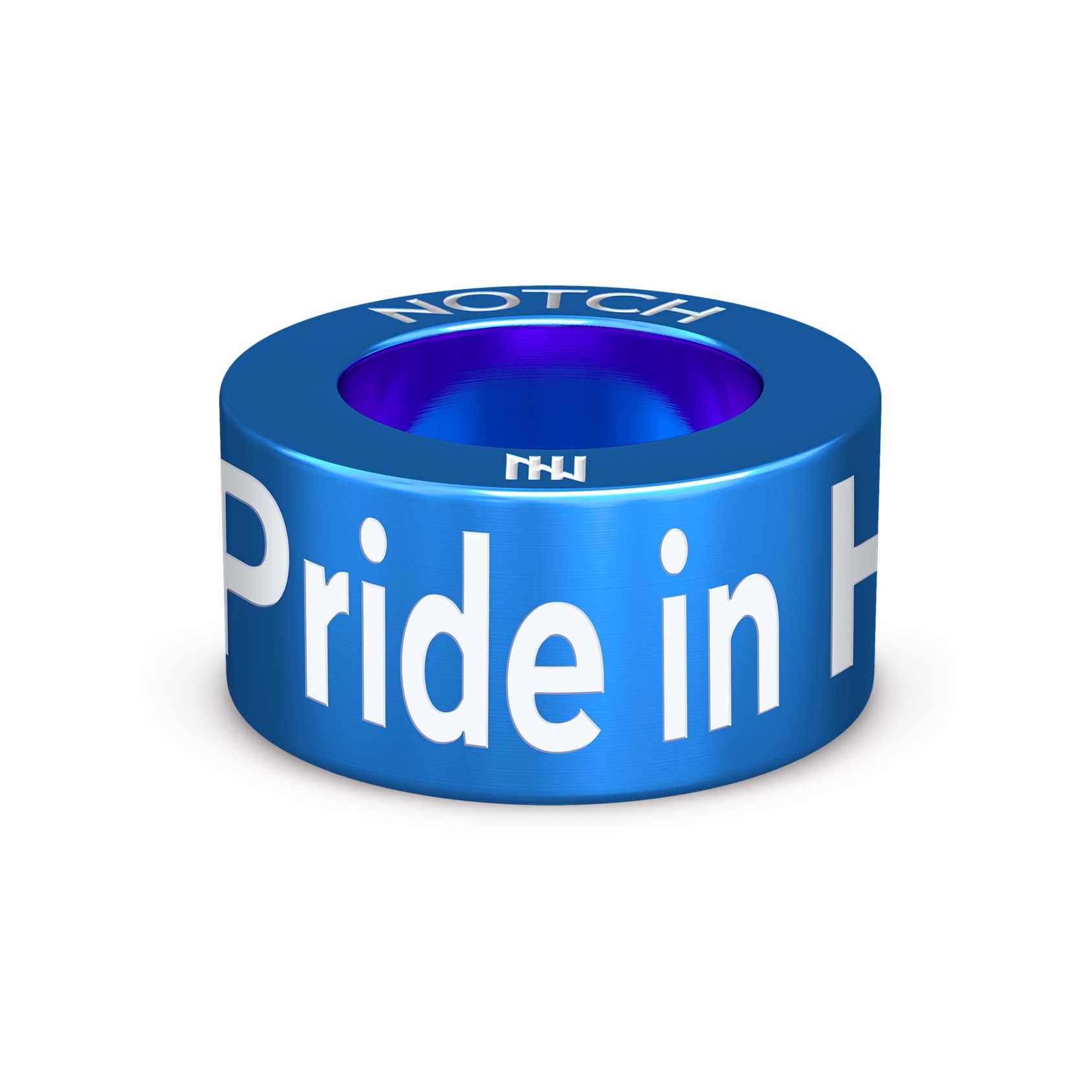 Pride in Hull NOTCH Charm