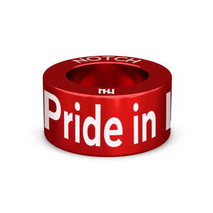 Pride in Life (rainbow icon)