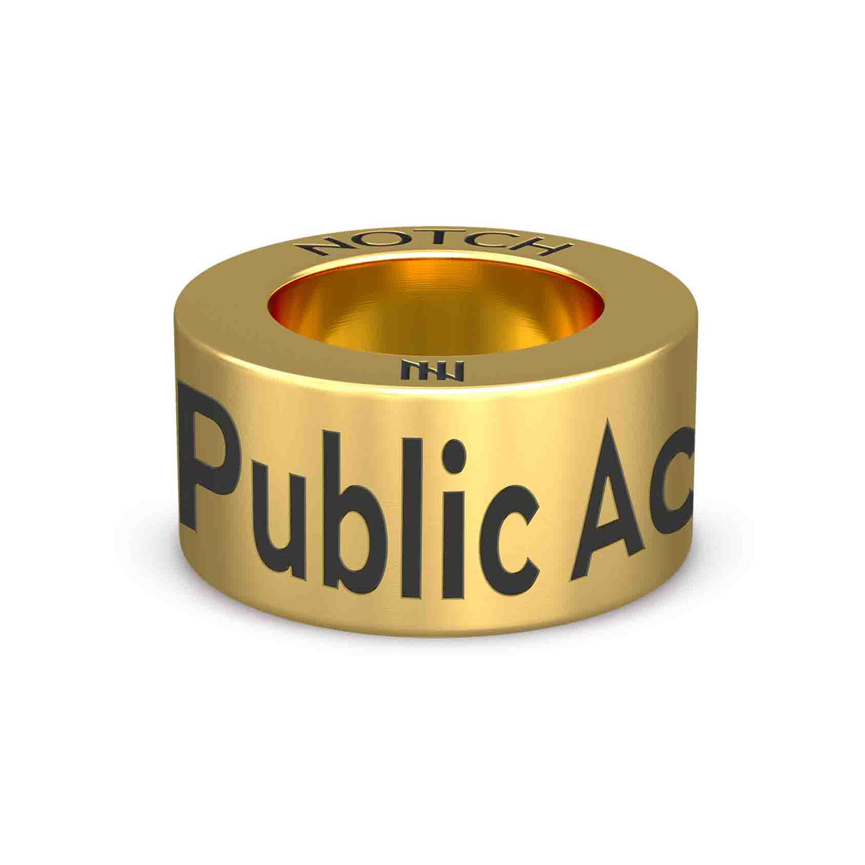 Public Access NOTCH Charm