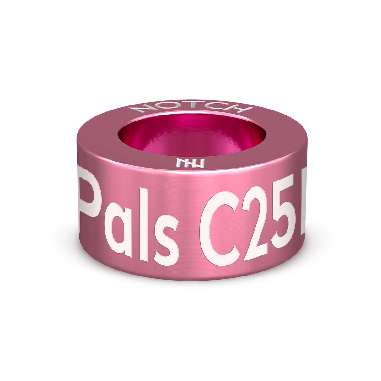 RunPals C25K Notch