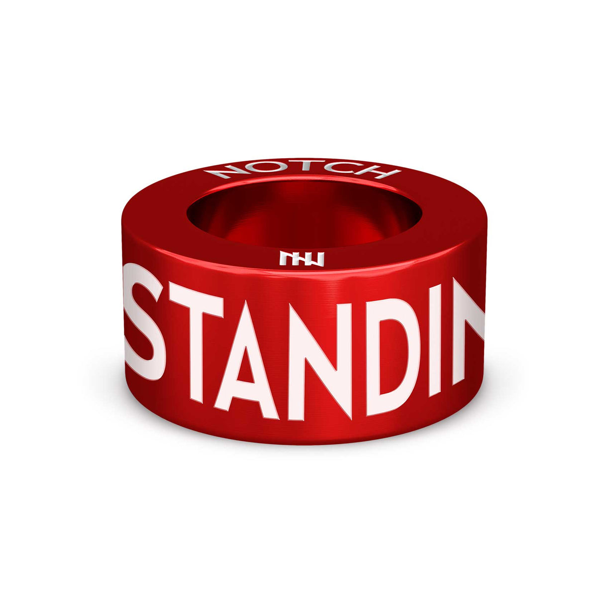 STANDING WITH YOU NOTCH Charm
