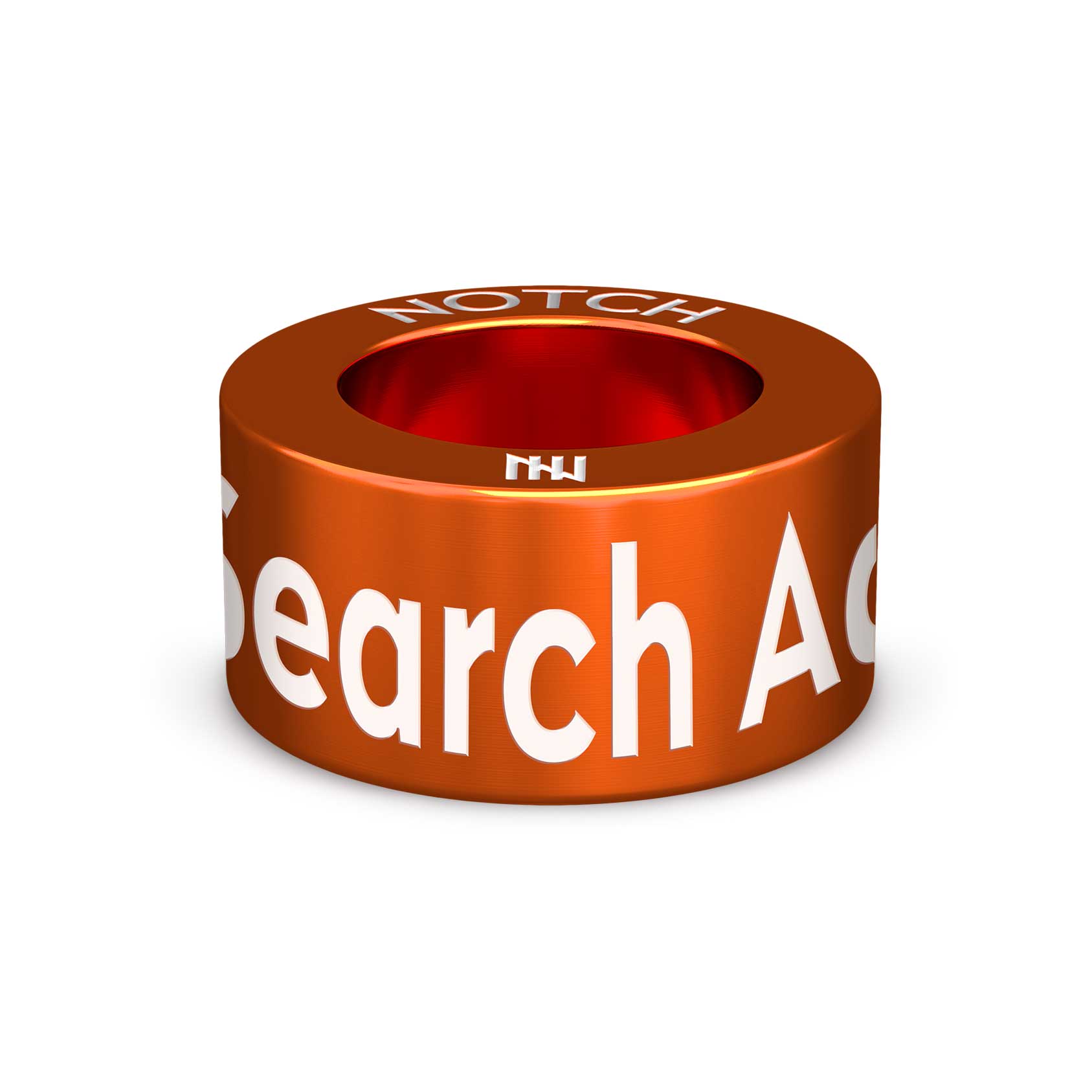 Search Advisor Notch Charm