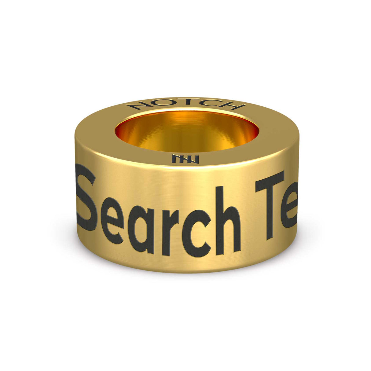 Search Technician Notch Charm