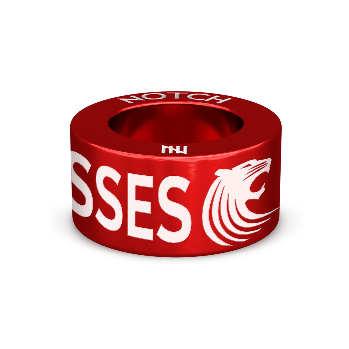 UK LIONESSES NOTCH Charm
