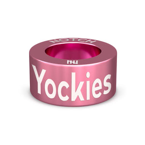 Yockies (ski slope icon)