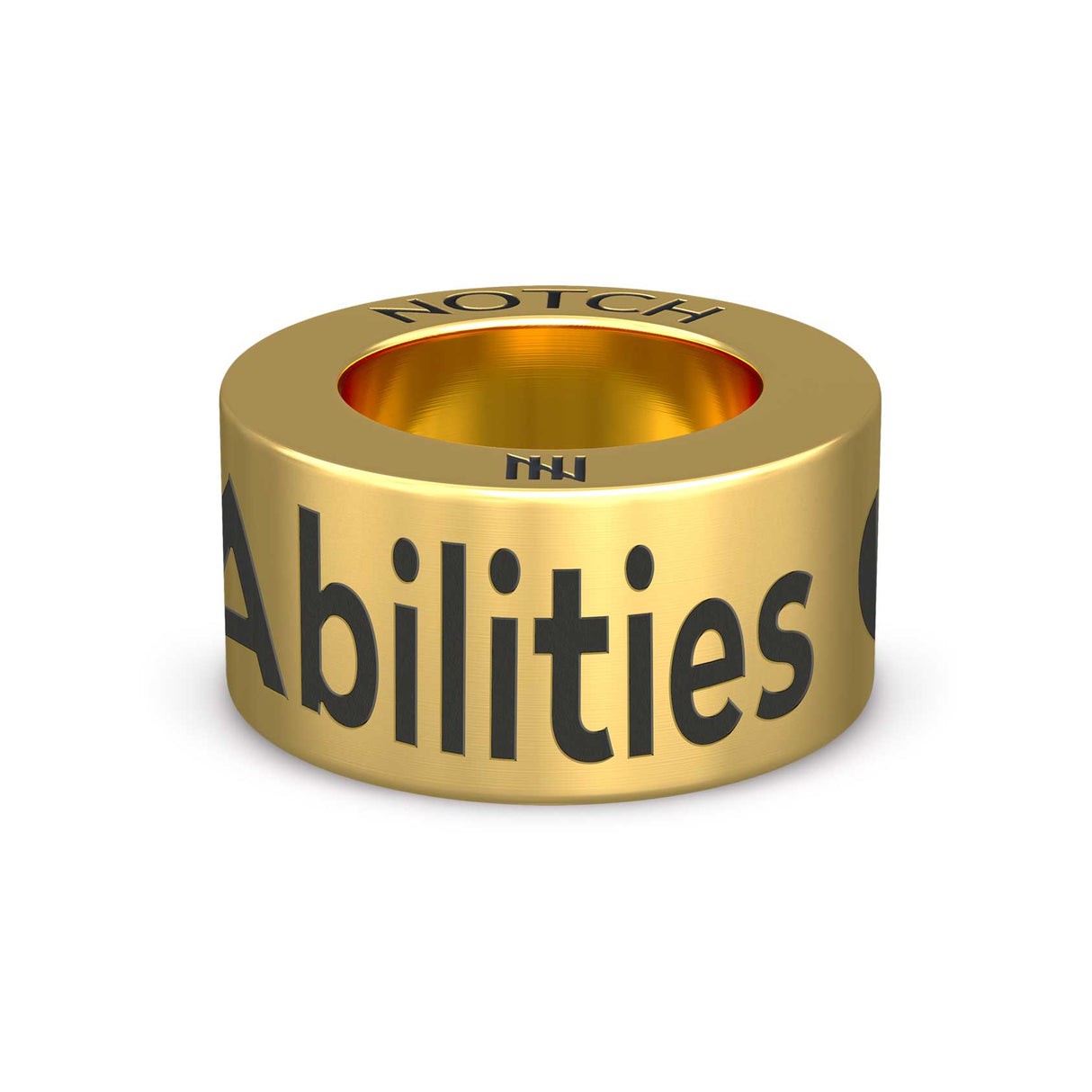 The Adaptive Abilities Cheer NOTCH Charm (Full List)