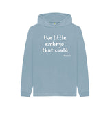 Stone Blue Kid's Little Embryo Hoodie
